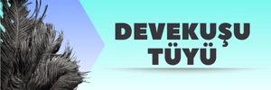 devekuşu tüyü
