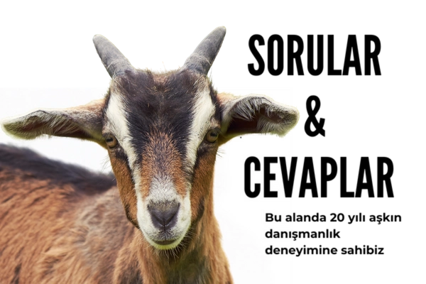  Sık Sorulan Sorular (FAQ)