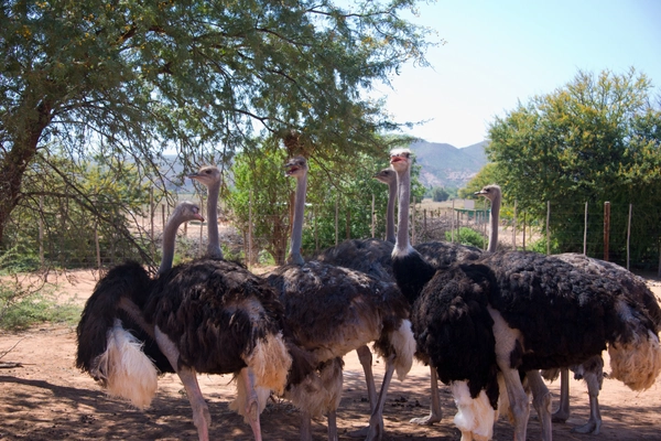 Sürdürülebilirlik ve Çiftlik Hikayeleri