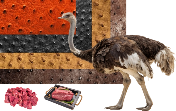 Devekuşu Et ve Deri Ürünlerinin Pazarlaması