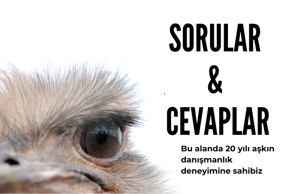 Sık Sorulan Sorular (FAQ)