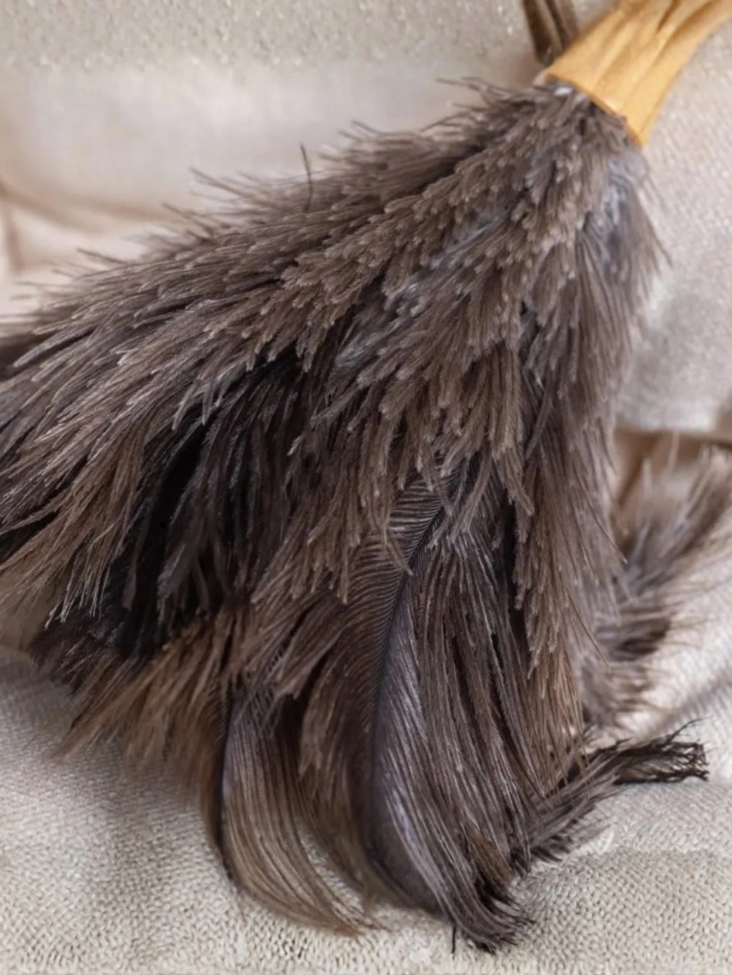 Devekuşu Tüyü Tozluk