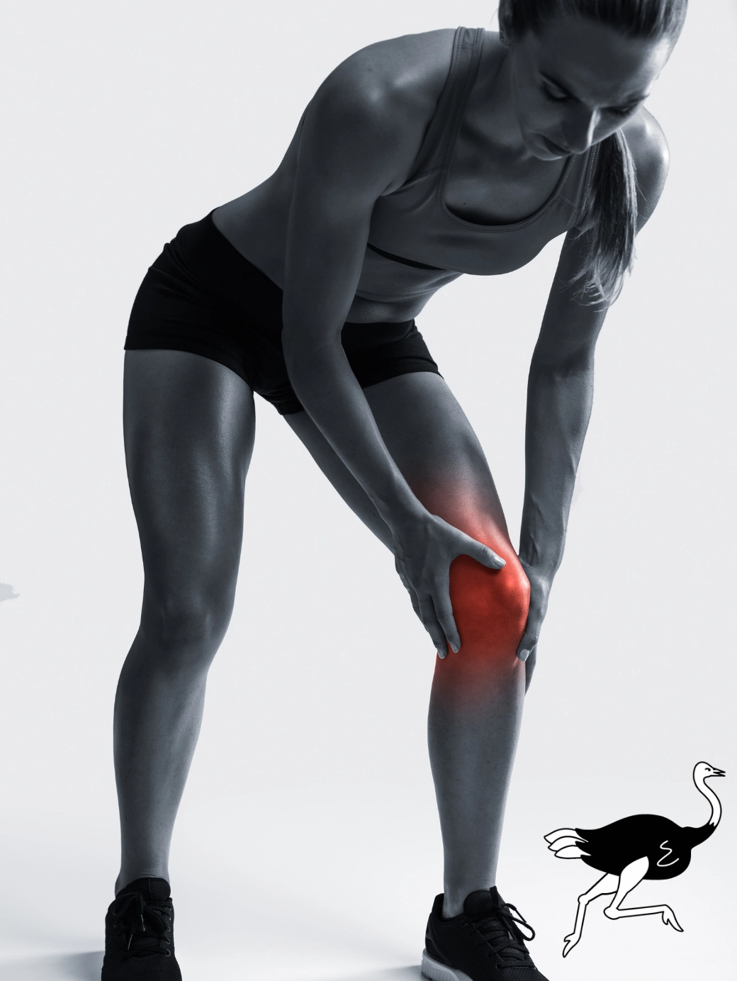 Devekuşu Yağı 200 ml