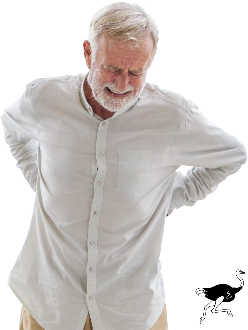 Devekuşu Yağı 200 ml