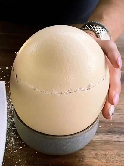 Taze Yemeklik Devekuşu Yumurtası