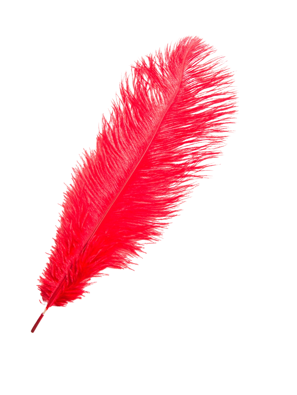 Devekuşu Tüyü (10 adet Kırmızı 35 - 45 Cm)