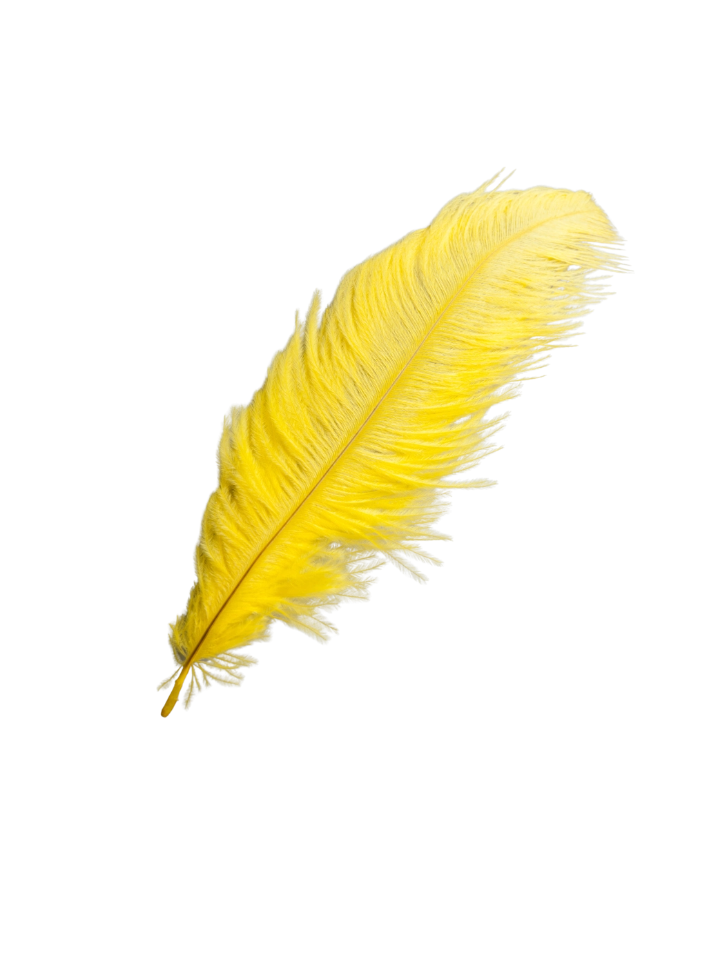 Devekuşu Tüyü (10 adet Sarı 35 - 45 Cm)