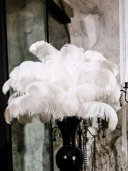 Devekuşu Tüyü (10 adet Beyaz 55 - 60 Cm)