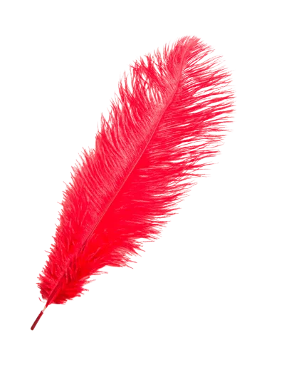 Devekuşu Tüyü (10 adet Kırmızı 35 - 45 Cm)