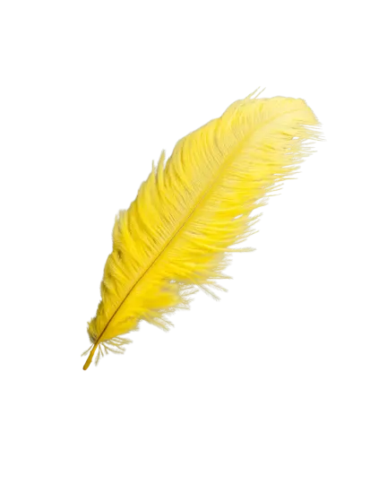 Devekuşu Tüyü (10 adet Sarı 35 - 45 Cm)