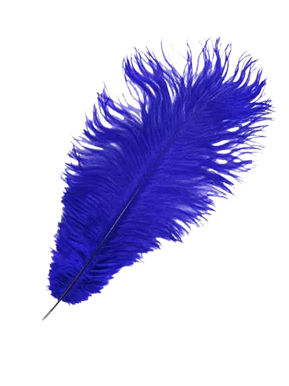 Devekuşu Tüyü (10 adet Lacivert 35 - 45 Cm)