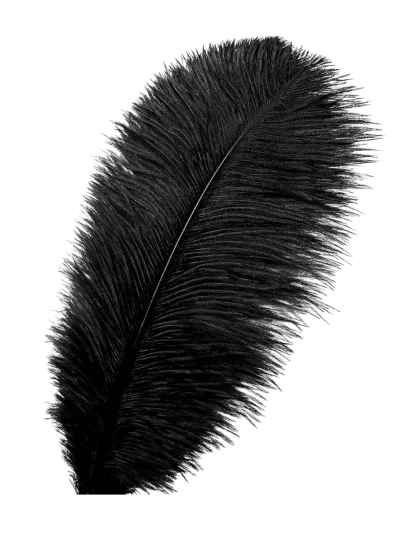 Devekuşu Tüyü (10 adet Siyah 35 - 45 Cm)