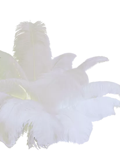 Devekuşu Tüyü (10 adet Beyaz 55 - 60 Cm)